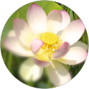 Kusum Kashyap profile picture